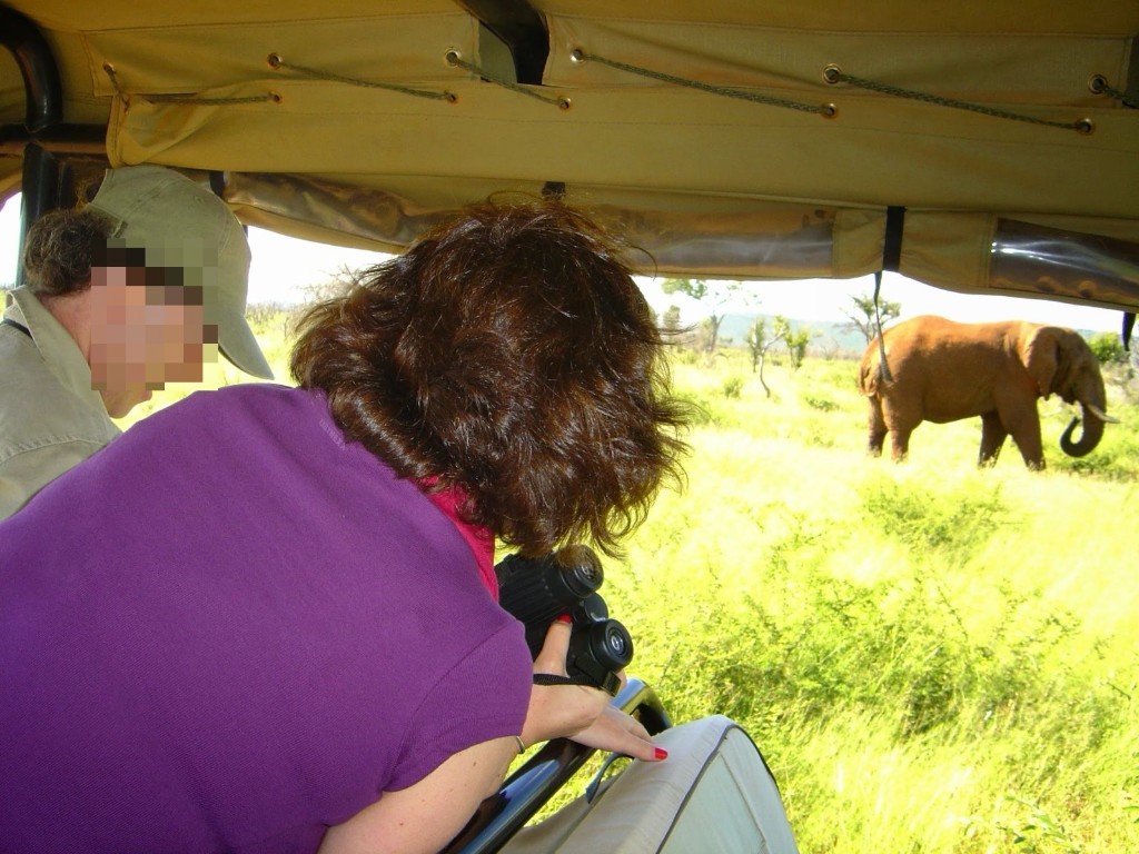 VIP guests watching elephants on a morning game drive in the African bush